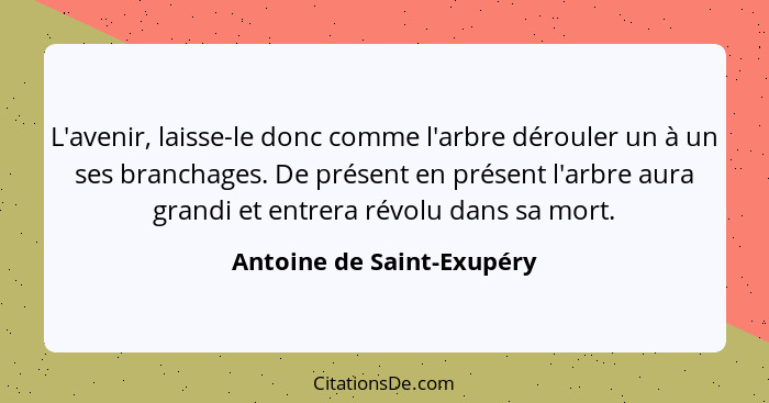 L'avenir, laisse-le donc comme l'arbre dérouler un à un ses branchages. De présent en présent l'arbre aura grandi et entrer... - Antoine de Saint-Exupéry