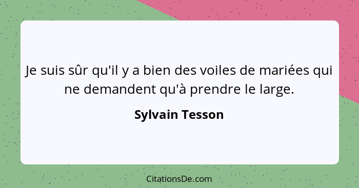 Je suis sûr qu'il y a bien des voiles de mariées qui ne demandent qu'à prendre le large.... - Sylvain Tesson