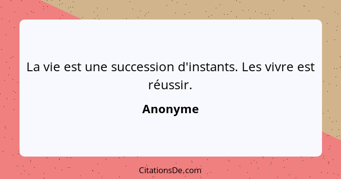 La vie est une succession d'instants. Les vivre est réussir.... - Anonyme