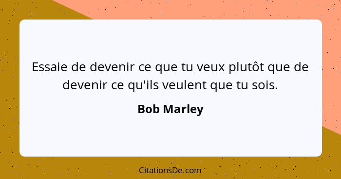 Essaie de devenir ce que tu veux plutôt que de devenir ce qu'ils veulent que tu sois.... - Bob Marley