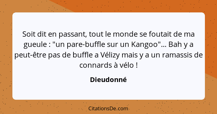 Soit dit en passant, tout le monde se foutait de ma gueule : "un pare-buffle sur un Kangoo"... Bah y a peut-être pas de buffle a Véli... - Dieudonné