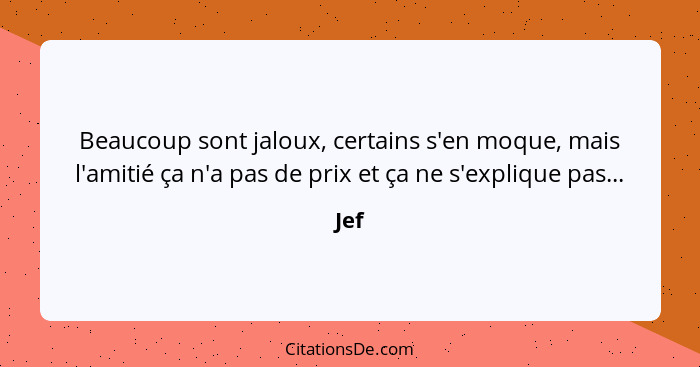 Beaucoup sont jaloux, certains s'en moque, mais l'amitié ça n'a pas de prix et ça ne s'explique pas...... - Jef