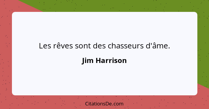 Les rêves sont des chasseurs d'âme.... - Jim Harrison