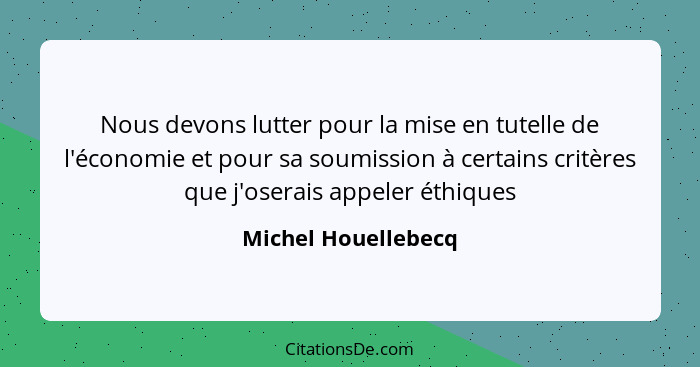 Nous devons lutter pour la mise en tutelle de l'économie et pour sa soumission à certains critères que j'oserais appeler éthiques... - Michel Houellebecq