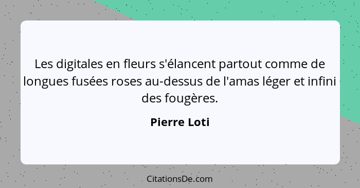 Les digitales en fleurs s'élancent partout comme de longues fusées roses au-dessus de l'amas léger et infini des fougères.... - Pierre Loti