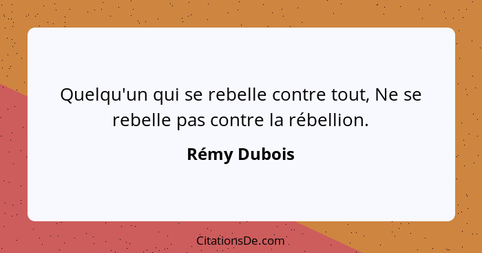 Quelqu'un qui se rebelle contre tout, Ne se rebelle pas contre la rébellion.... - Rémy Dubois