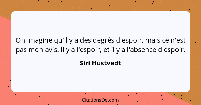 On imagine qu'il y a des degrés d'espoir, mais ce n'est pas mon avis. Il y a l'espoir, et il y a l'absence d'espoir.... - Siri Hustvedt