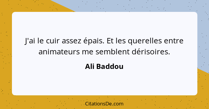 J'ai le cuir assez épais. Et les querelles entre animateurs me semblent dérisoires.... - Ali Baddou