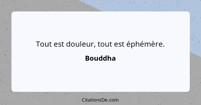 Tout est douleur, tout est éphémère.... - Bouddha