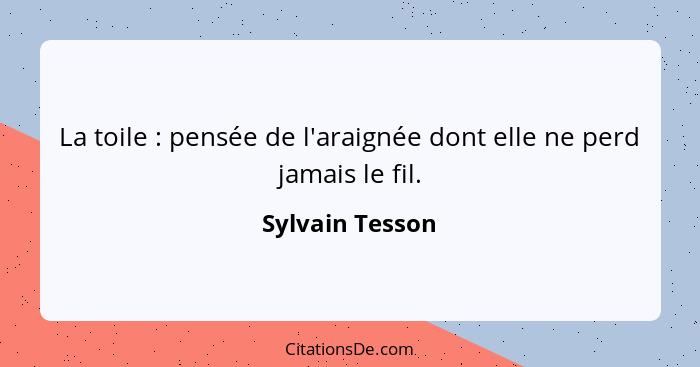 La toile : pensée de l'araignée dont elle ne perd jamais le fil.... - Sylvain Tesson