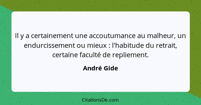 Il y a certainement une accoutumance au malheur, un endurcissement ou mieux : l'habitude du retrait, certaine faculté de repliement.... - André Gide