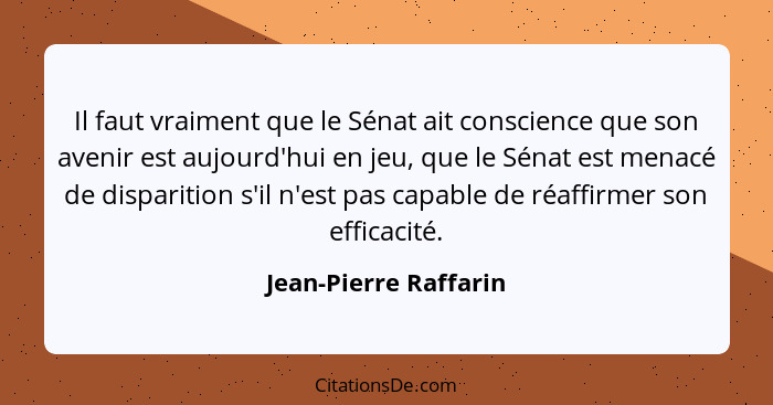 Il faut vraiment que le Sénat ait conscience que son avenir est aujourd'hui en jeu, que le Sénat est menacé de disparition s'il... - Jean-Pierre Raffarin