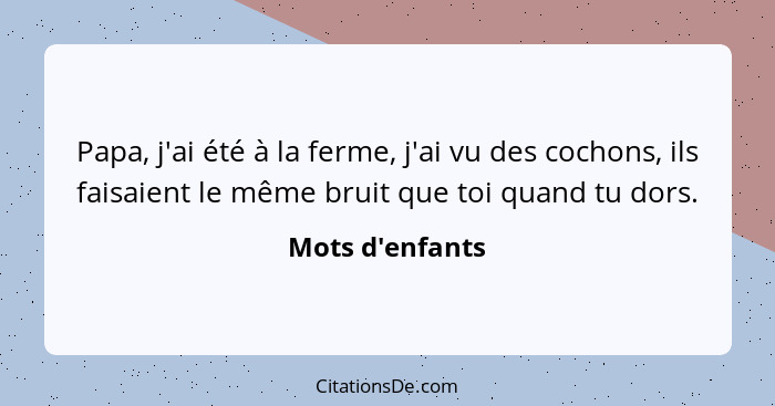 Papa, j'ai été à la ferme, j'ai vu des cochons, ils faisaient le même bruit que toi quand tu dors.... - Mots d'enfants