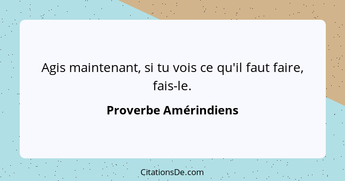 Agis maintenant, si tu vois ce qu'il faut faire, fais-le.... - Proverbe Amérindiens