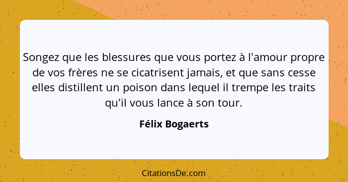 Songez que les blessures que vous portez à l'amour propre de vos frères ne se cicatrisent jamais, et que sans cesse elles distillent... - Félix Bogaerts