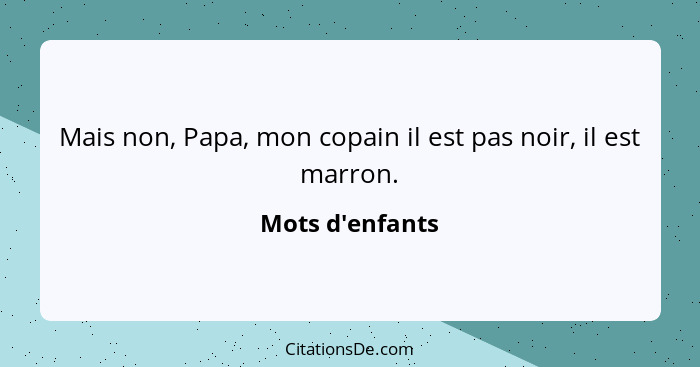 Mais non, Papa, mon copain il est pas noir, il est marron.... - Mots d'enfants