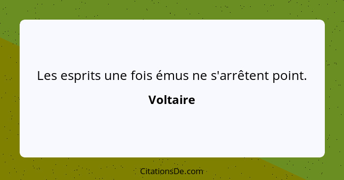 Les esprits une fois émus ne s'arrêtent point.... - Voltaire