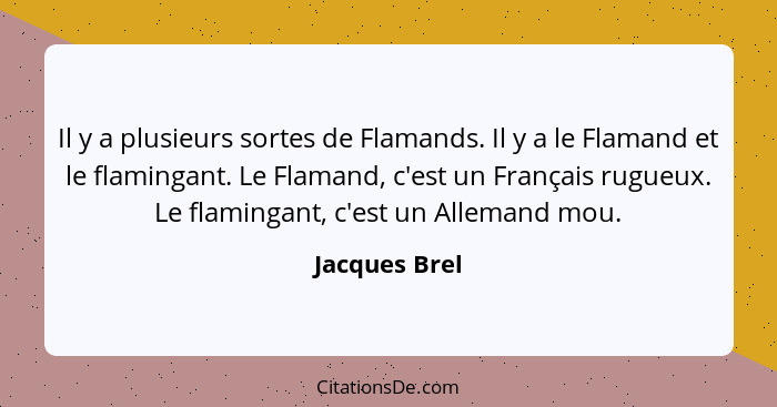 Il y a plusieurs sortes de Flamands. Il y a le Flamand et le flamingant. Le Flamand, c'est un Français rugueux. Le flamingant, c'est un... - Jacques Brel