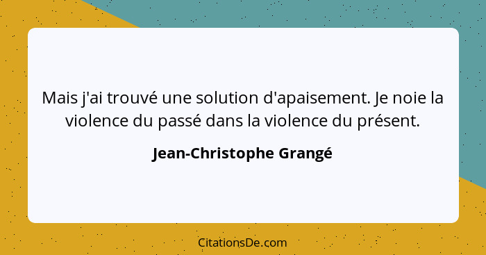 Mais j'ai trouvé une solution d'apaisement. Je noie la violence du passé dans la violence du présent.... - Jean-Christophe Grangé