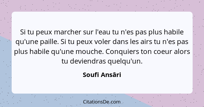 Si tu peux marcher sur l'eau tu n'es pas plus habile qu'une paille. Si tu peux voler dans les airs tu n'es pas plus habile qu'une mouch... - Soufi Ansâri