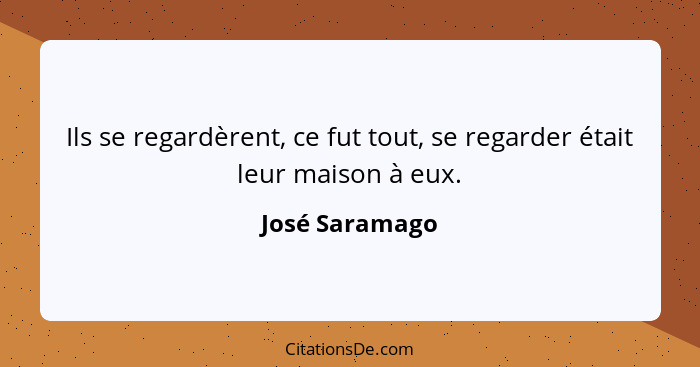 Ils se regardèrent, ce fut tout, se regarder était leur maison à eux.... - José Saramago