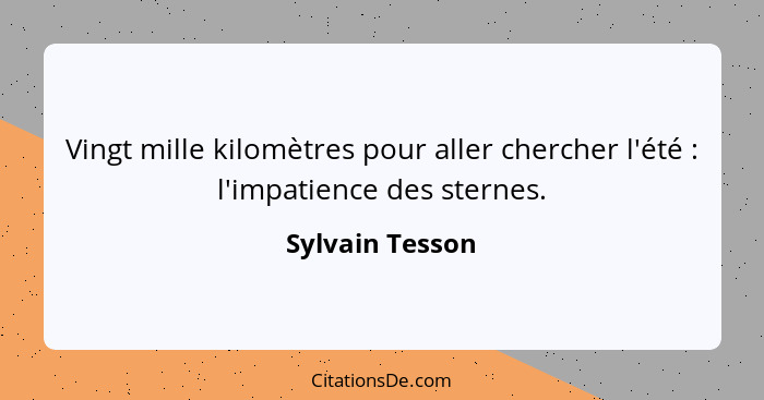 Vingt mille kilomètres pour aller chercher l'été : l'impatience des sternes.... - Sylvain Tesson