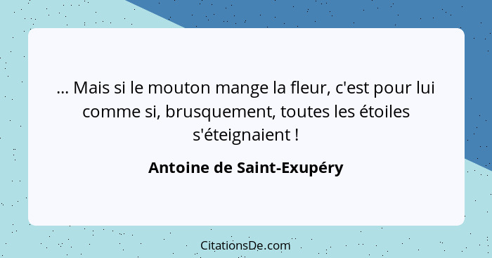 ... Mais si le mouton mange la fleur, c'est pour lui comme si, brusquement, toutes les étoiles s'éteignaient !... - Antoine de Saint-Exupéry