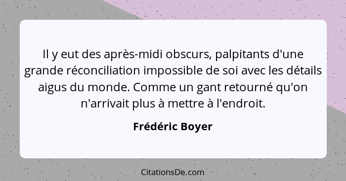 Il y eut des après-midi obscurs, palpitants d'une grande réconciliation impossible de soi avec les détails aigus du monde. Comme un g... - Frédéric Boyer