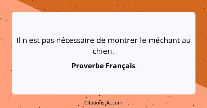 Il n'est pas nécessaire de montrer le méchant au chien.... - Proverbe Français