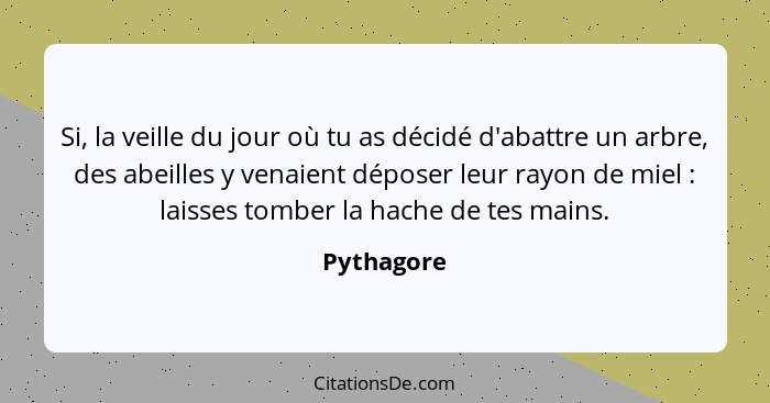 Si, la veille du jour où tu as décidé d'abattre un arbre, des abeilles y venaient déposer leur rayon de miel : laisses tomber la hach... - Pythagore