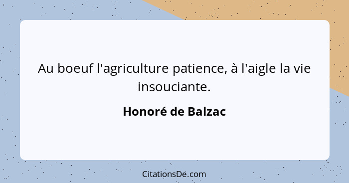 Au boeuf l'agriculture patience, à l'aigle la vie insouciante.... - Honoré de Balzac