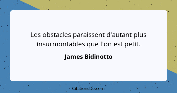 Les obstacles paraissent d'autant plus insurmontables que l'on est petit.... - James Bidinotto