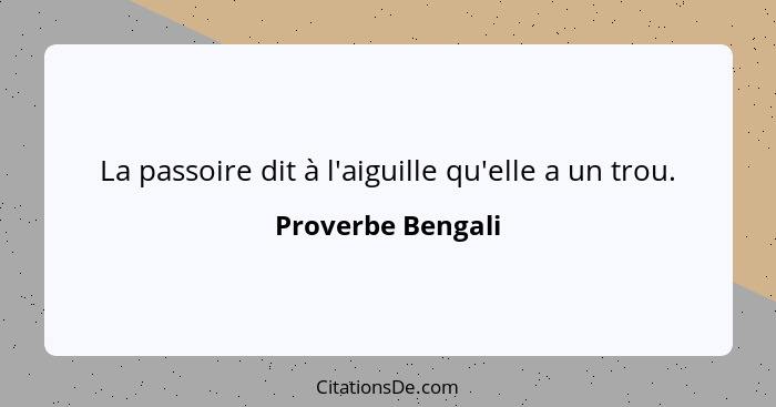 La passoire dit à l'aiguille qu'elle a un trou.... - Proverbe Bengali