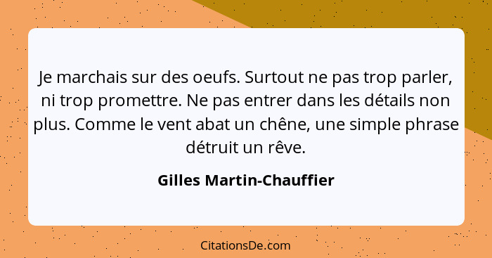 Je marchais sur des oeufs. Surtout ne pas trop parler, ni trop promettre. Ne pas entrer dans les détails non plus. Comme le... - Gilles Martin-Chauffier