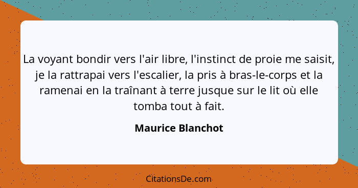 La voyant bondir vers l'air libre, l'instinct de proie me saisit, je la rattrapai vers l'escalier, la pris à bras-le-corps et la ra... - Maurice Blanchot