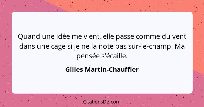 Quand une idée me vient, elle passe comme du vent dans une cage si je ne la note pas sur-le-champ. Ma pensée s'écaille.... - Gilles Martin-Chauffier