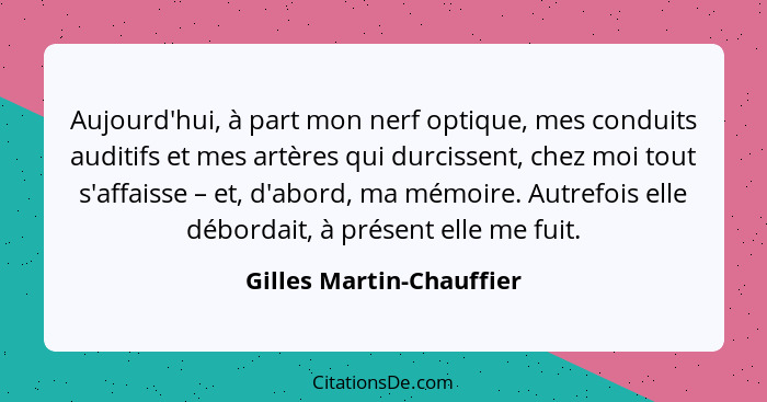 Aujourd'hui, à part mon nerf optique, mes conduits auditifs et mes artères qui durcissent, chez moi tout s'affaisse – et, d'... - Gilles Martin-Chauffier