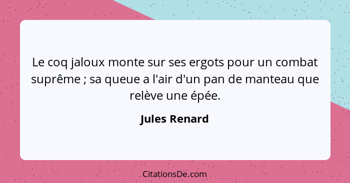 Le coq jaloux monte sur ses ergots pour un combat suprême ; sa queue a l'air d'un pan de manteau que relève une épée.... - Jules Renard