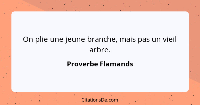 On plie une jeune branche, mais pas un vieil arbre.... - Proverbe Flamands