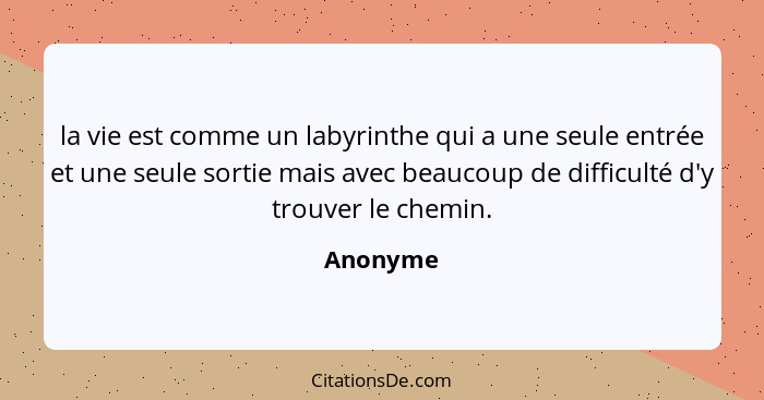 la vie est comme un labyrinthe qui a une seule entrée et une seule sortie mais avec beaucoup de difficulté d'y trouver le chemin.... - Anonyme