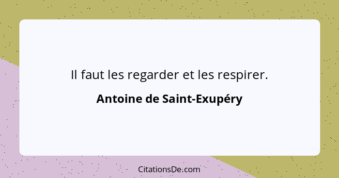 Il faut les regarder et les respirer.... - Antoine de Saint-Exupéry