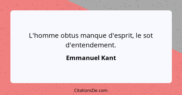 L'homme obtus manque d'esprit, le sot d'entendement.... - Emmanuel Kant