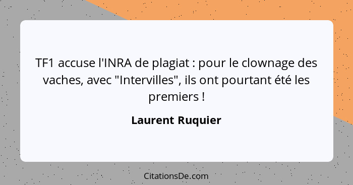 TF1 accuse l'INRA de plagiat : pour le clownage des vaches, avec "Intervilles", ils ont pourtant été les premiers !... - Laurent Ruquier