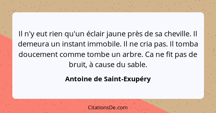 Il n'y eut rien qu'un éclair jaune près de sa cheville. Il demeura un instant immobile. Il ne cria pas. Il tomba doucement... - Antoine de Saint-Exupéry