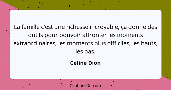 La famille c'est une richesse incroyable, ça donne des outils pour pouvoir affronter les moments extraordinaires, les moments plus diffi... - Céline Dion