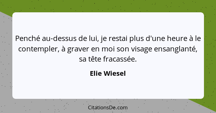 Penché au-dessus de lui, je restai plus d'une heure à le contempler, à graver en moi son visage ensanglanté, sa tête fracassée.... - Elie Wiesel