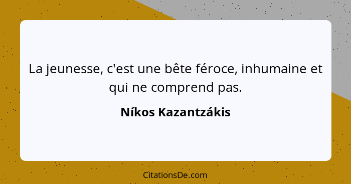 La jeunesse, c'est une bête féroce, inhumaine et qui ne comprend pas.... - Níkos Kazantzákis