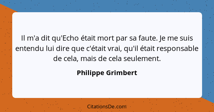 Il m'a dit qu'Echo était mort par sa faute. Je me suis entendu lui dire que c'était vrai, qu'il était responsable de cela, mais de... - Philippe Grimbert