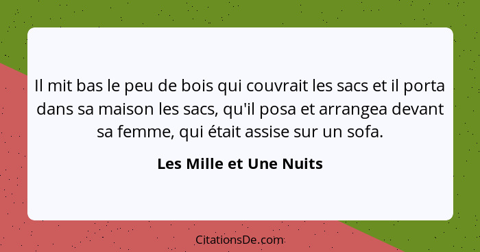 Il mit bas le peu de bois qui couvrait les sacs et il porta dans sa maison les sacs, qu'il posa et arrangea devant sa femme,... - Les Mille et Une Nuits