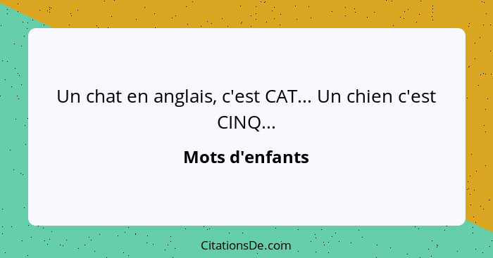 Un chat en anglais, c'est CAT... Un chien c'est CINQ...... - Mots d'enfants